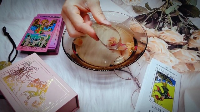 Amazon.com: lrjrizzo Tarot Cards for Beginners Pink Tarot